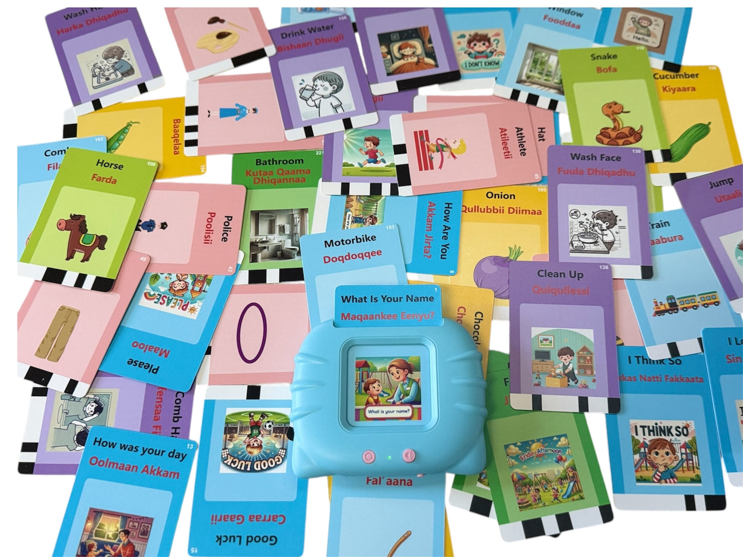 solika English-Afaan oromoo talkie flashcard